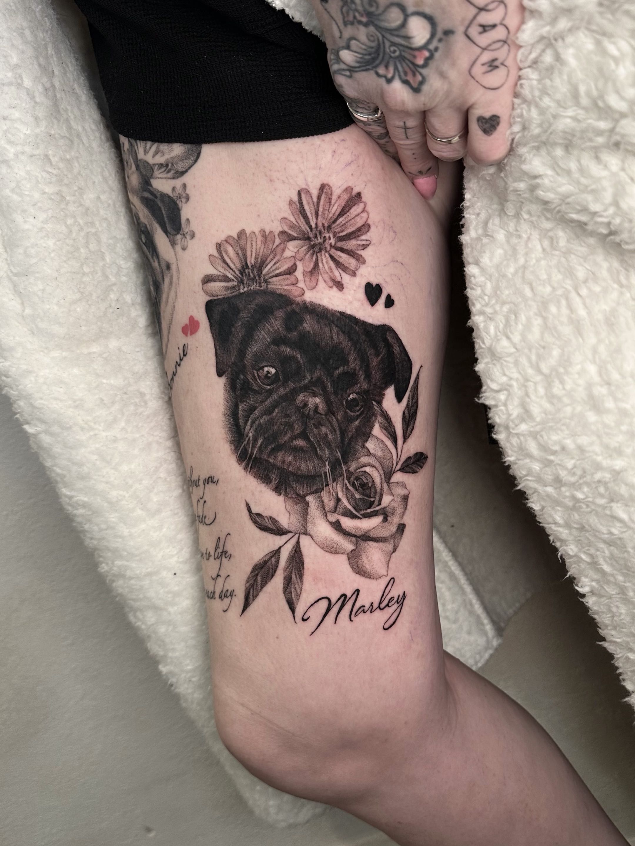 Black pug Marley portrait with daisies and roses tattoo by Emmy, Hull
