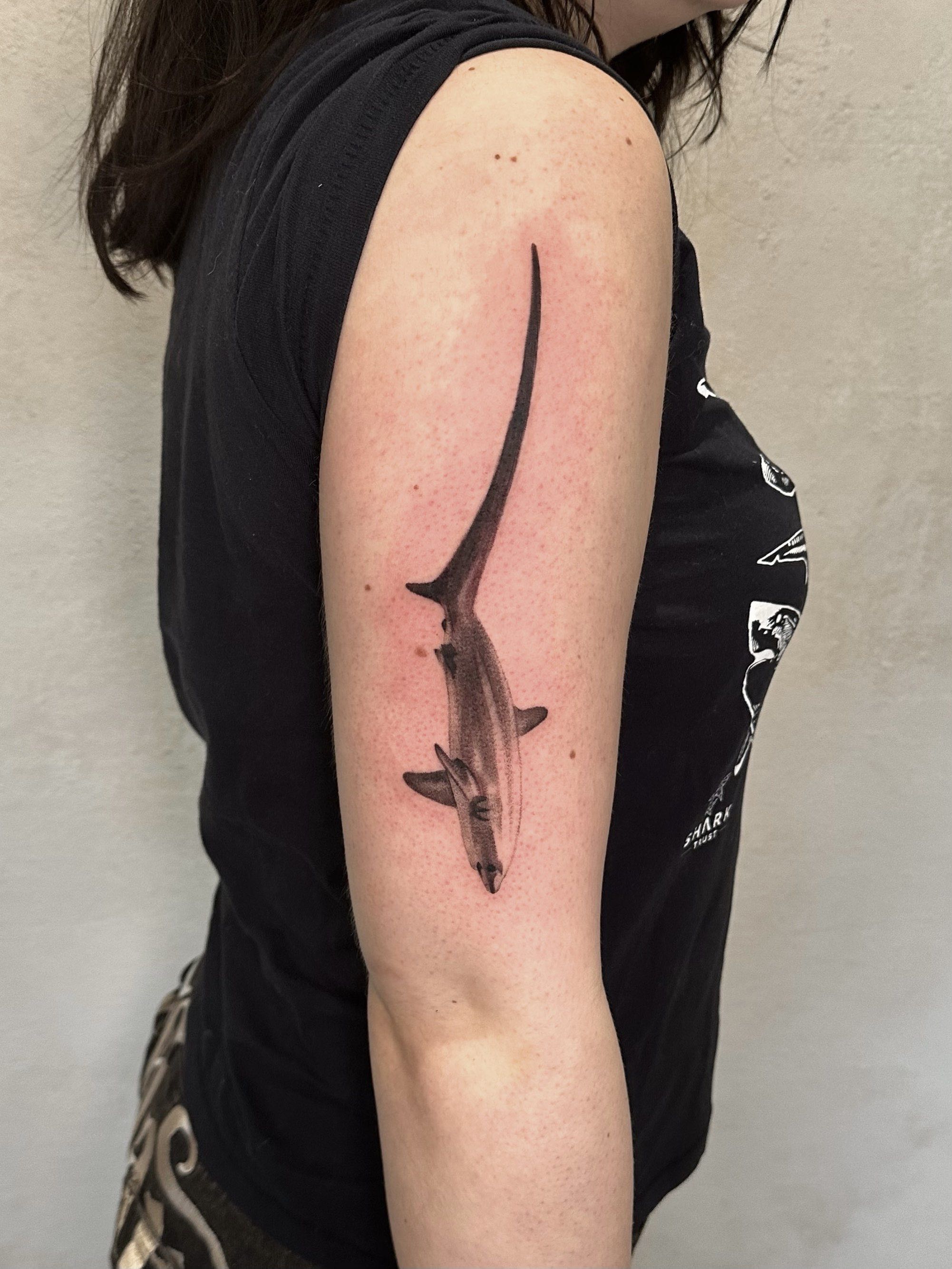 Black and grey realism tattoo of a Thresher shark swimming downwards on a client's upper arm.
