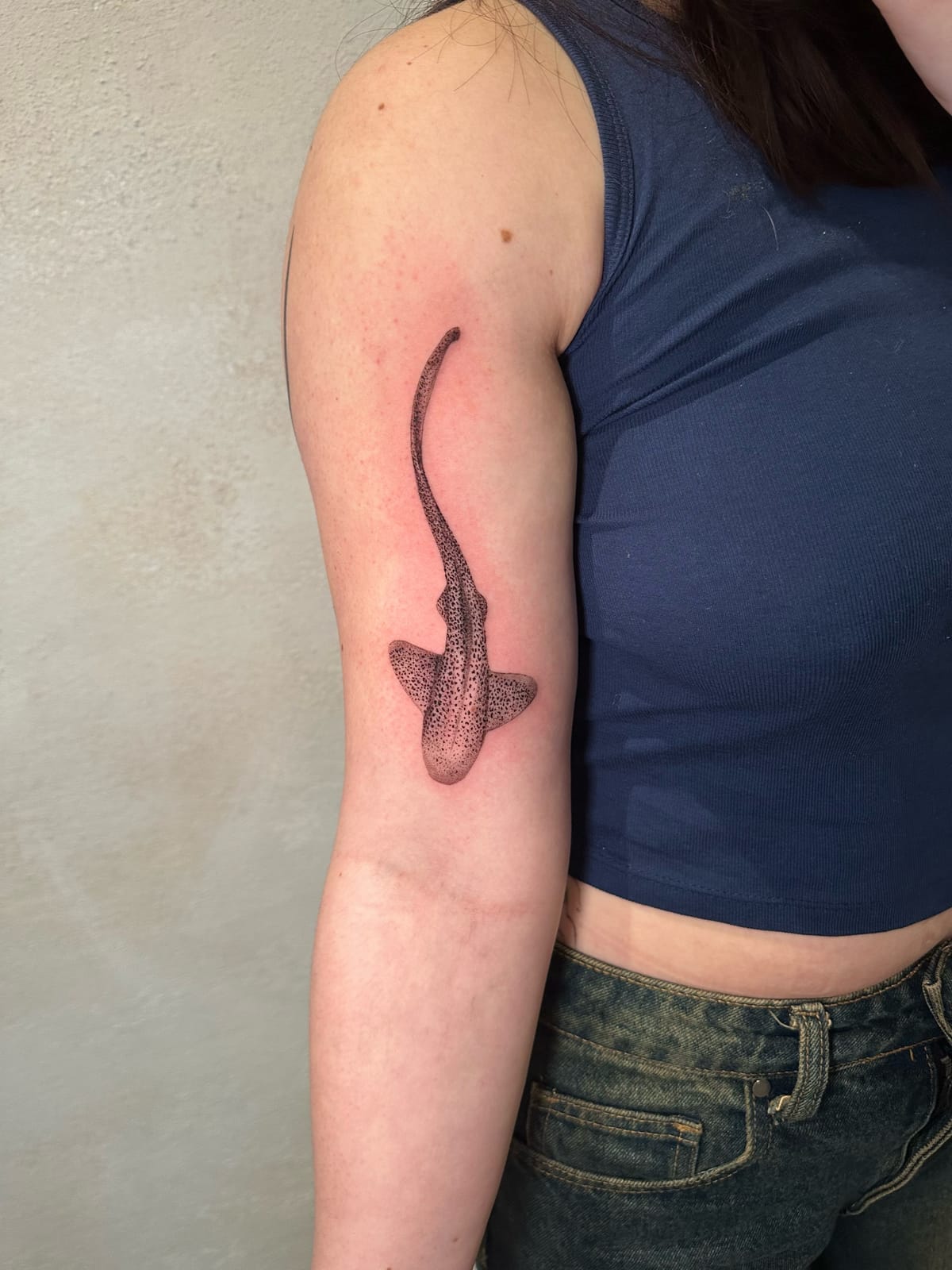 Fine line blackwork tattoo of a spotted leopard shark using dotwork shading on the back of a woman's upper arm, done by Emmy Tattoo.