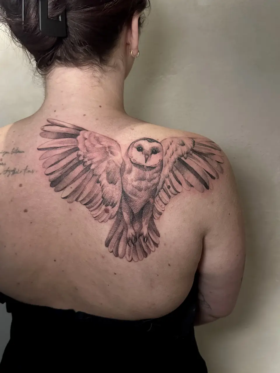 Black and grey barn owl with wings spread across the upper back.