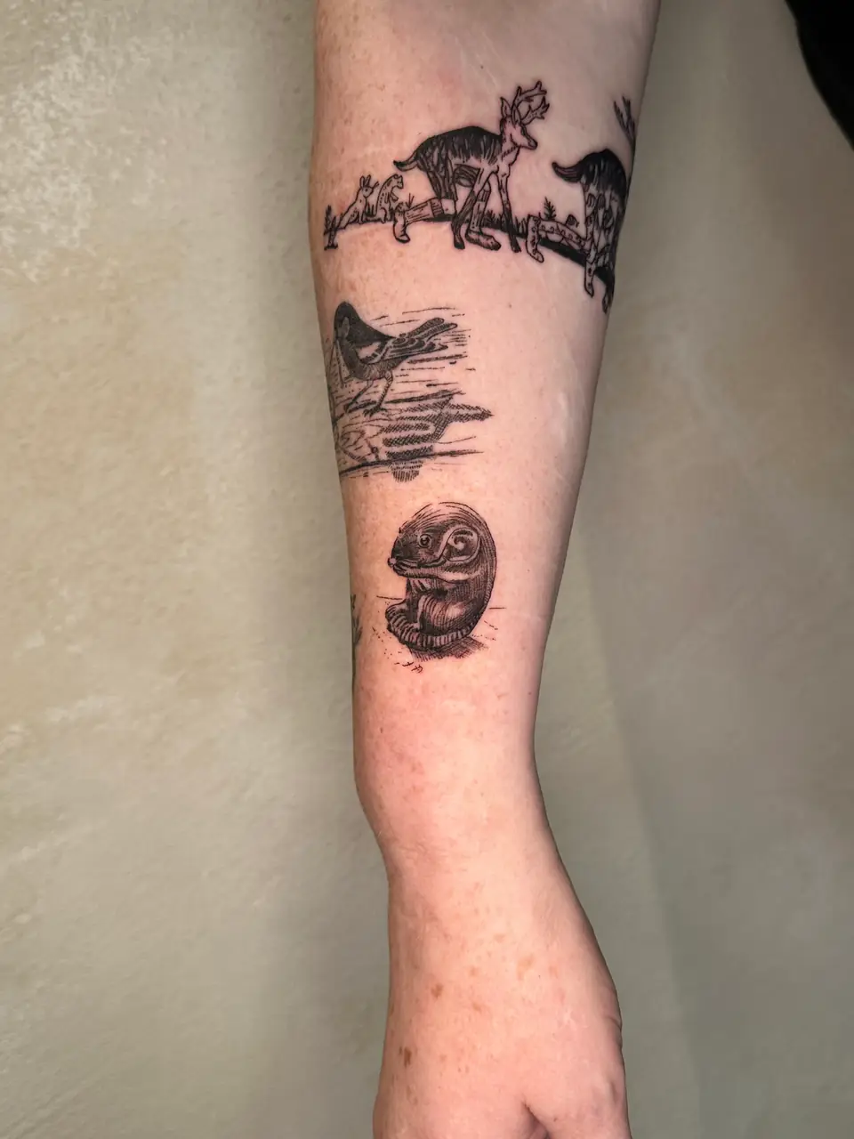 Small curled fantasy creature rendered with etched-style hatching on the lower forearm.